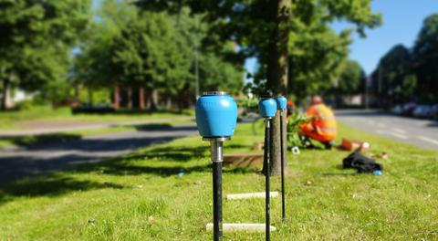 Bodenfeuchte-Sensoren bestimmen digital den Wasserbedarf von Jung- und Laubbäumen