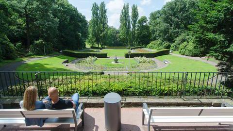 Der Rosengarten im Stadtpark.