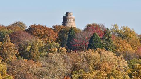 Bäume hinter denen man die Spitze des Bismarckturms sieht.