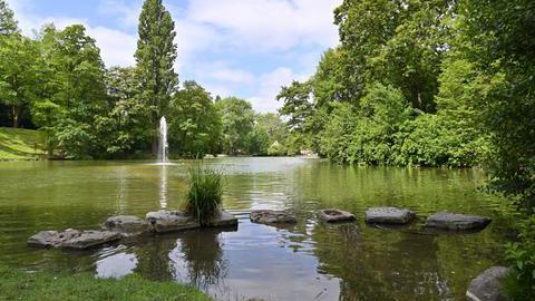 Blick auf den Stadtparkteich.