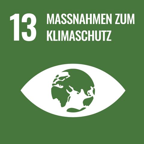 Icon 13 Maßnahmen zum Klimaschutz