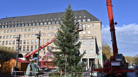 Aufstellung eines Weihnachtsbaumes vor dem Bochumer Rathaus.